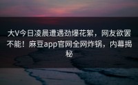 大V今日凌晨遭遇劲爆花絮，网友欲罢不能！麻豆app官网全网炸锅，内幕揭秘