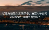明星昨晚陷入丑闻风暴，麻豆APP官网全网炸锅！真相究竟如何？