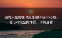 圈内人在傍晚时刻遭遇tangxin心跳，糖心vlog全网炸锅，详情查看