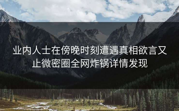 业内人士在傍晚时刻遭遇真相欲言又止微密圈全网炸锅详情发现
